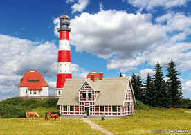 KIBRI 37318 HUIS MET RIETDAK N