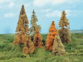 HEKI 2178 7 DENNEN IN HERFTSKLEUR 7-11 CM