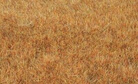 HEKI 33545 GRASVEZELS WILDGRAS LATE HERFST 6MM 