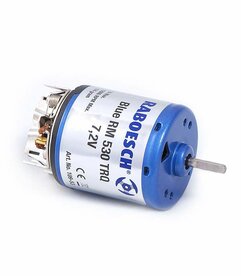 RABOESCH 109-53 TRQ BRUSHED MOTOR BLUE RM 530 7,2 V - DC/1,9A (VE1)