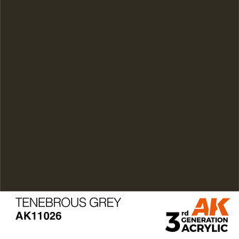 AK-11026 TENEBROUS GREY 17 ML