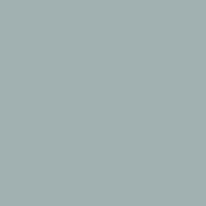 VALLEJO 70973 (108) MODEL COLOR LIGHT SEA GREY
