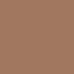 VALLEJO 70876 (132) MODEL COLOR BROWN SAND&nbsp;