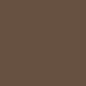 VALLEJO 70941 (148) MODEL COLOR BURNT UMBER&nbsp;