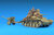 MINIART 35056 SOVIET T-70M & ZIS-3 MET CREW 1/35