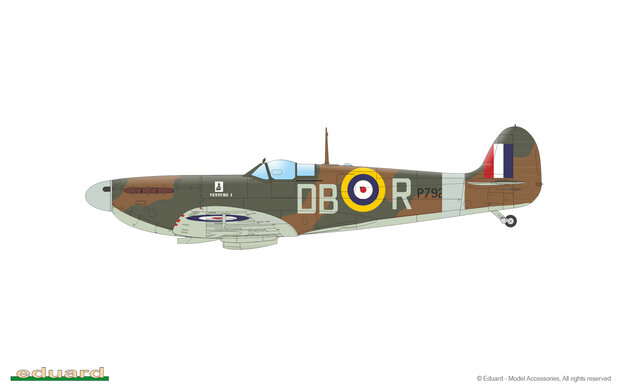 EDUARD 11146 SPITFIRE STORY: TALLY HO! 1/48