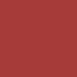 VALLEJO 70957 (31) MODEL COLOR FLAT RED