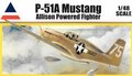 ACCURATE-MIMIATURES-3402-P-51A-MUSTANG-1-48